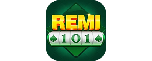 REMI101: Official Update Natuna Tourism Remi 101